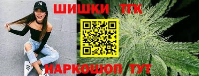 скорость Кингисепп